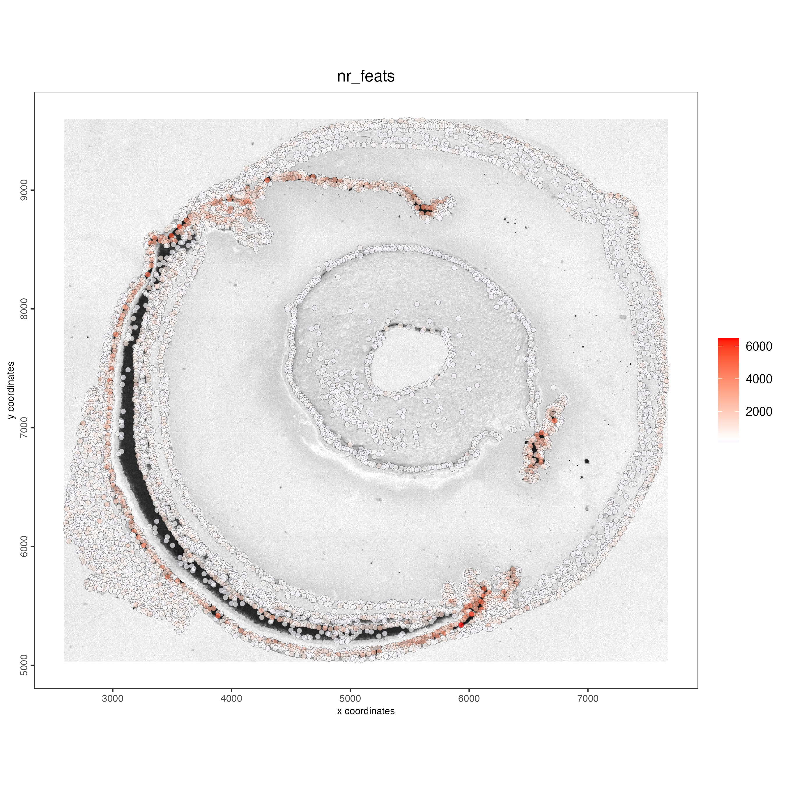 Spatial distribution of the number of features per cell.
