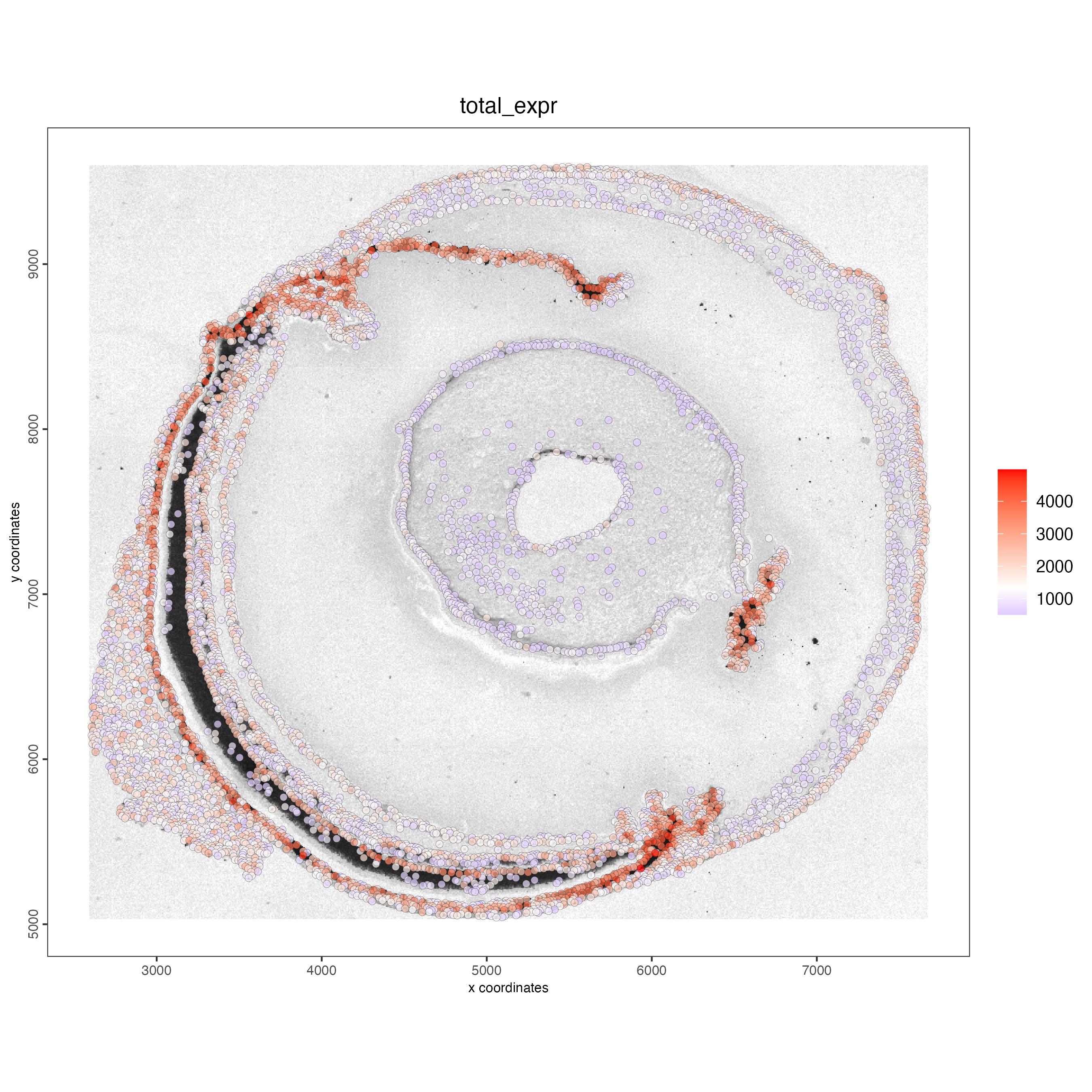 Spatial distribution of the number of transcripts per cell.