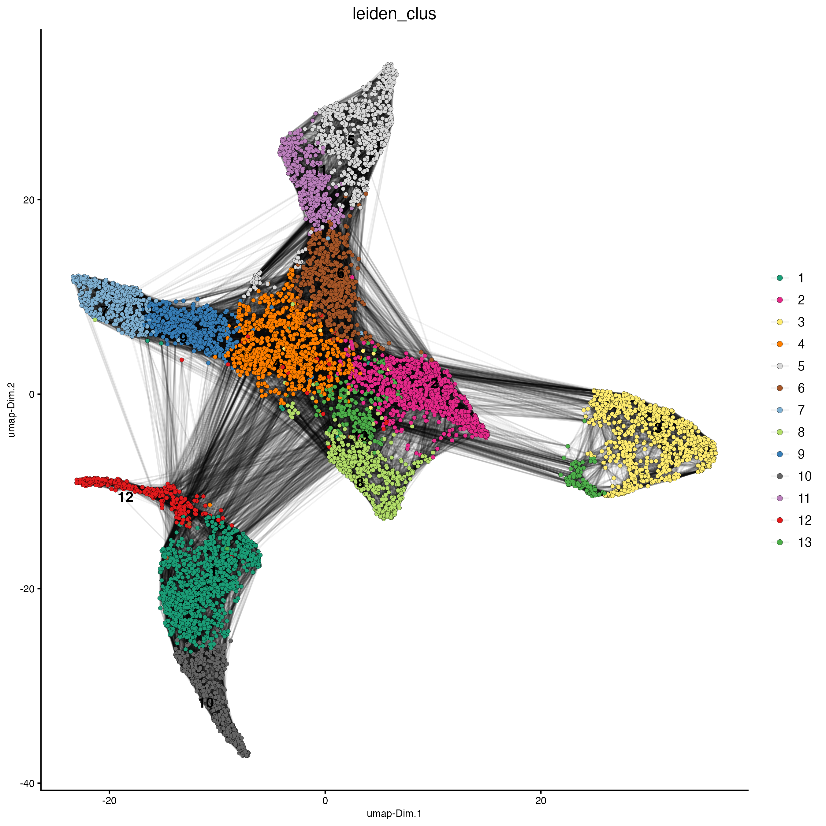 UMAP plot, colors indicate the Leiden clusters.