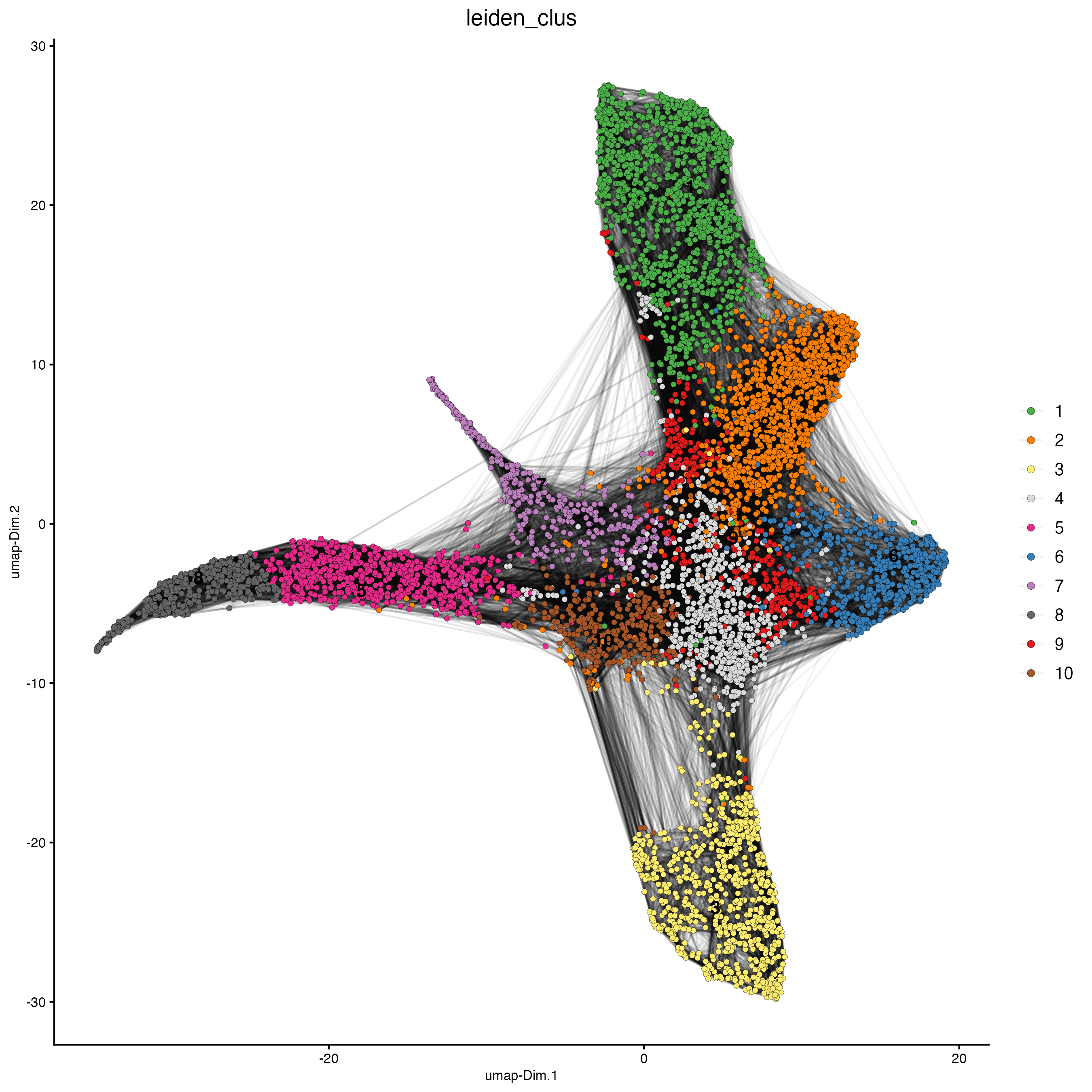 UMAP plot, colors indicate the Leiden clusters.