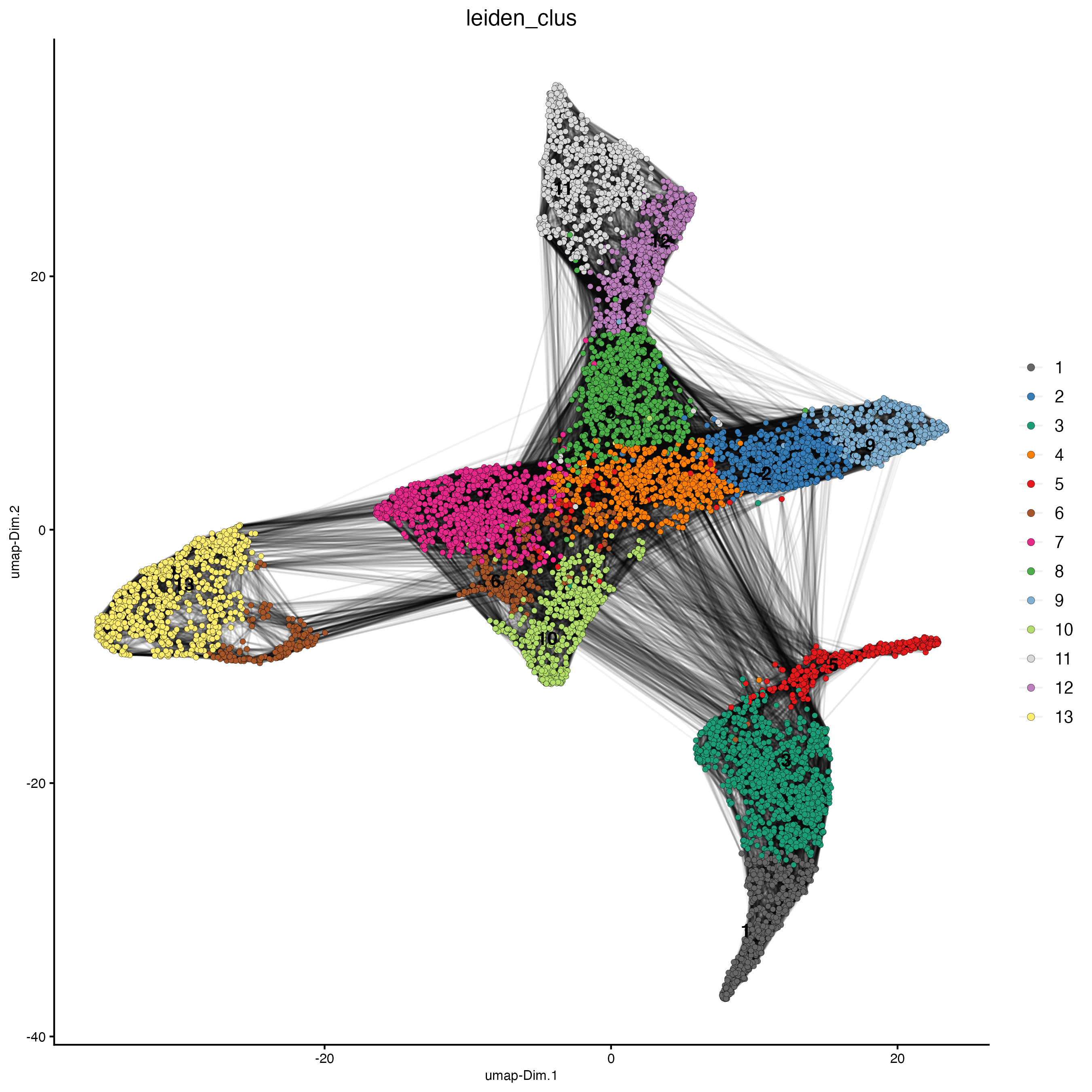 UMAP plot, colors indicate the Leiden clusters.
