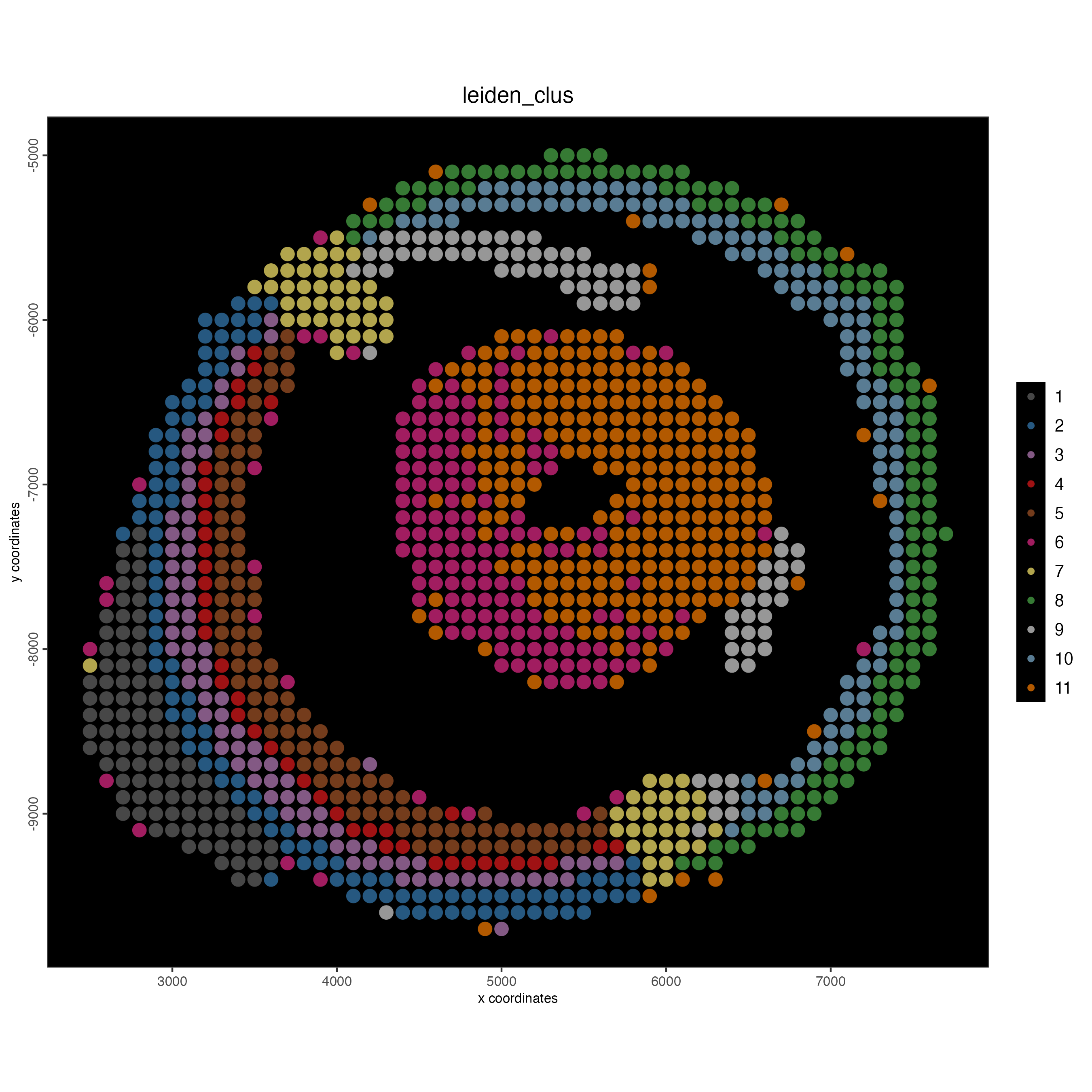 Spatial plot, colors indicate the Leiden clusters