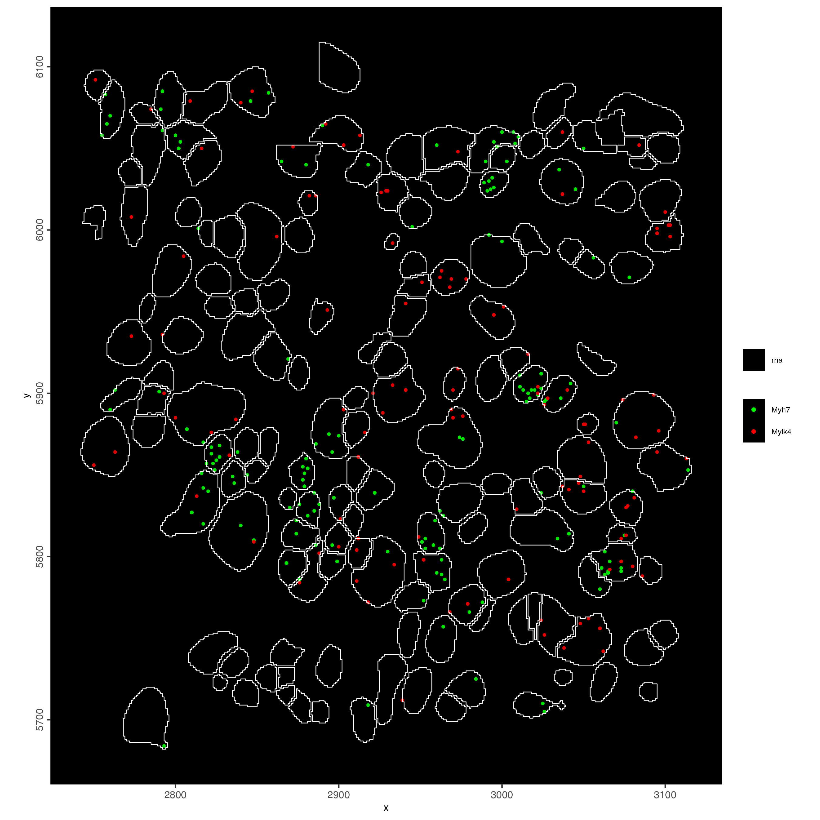 Spatial locations of Gnai3 and Cdc45 transcripts