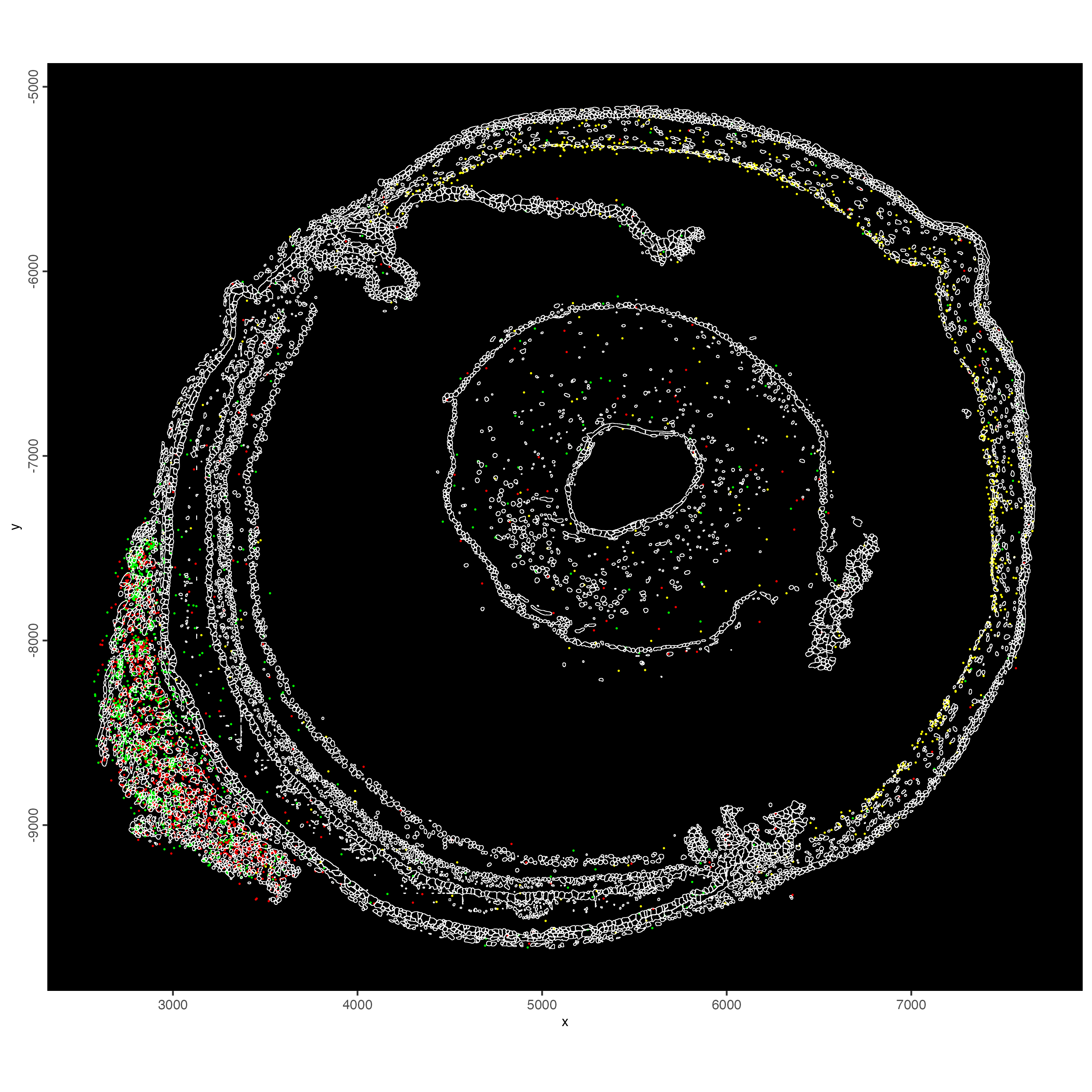 Spatial locations of Slc4a11, Myh7 and Mylk4 transcripts