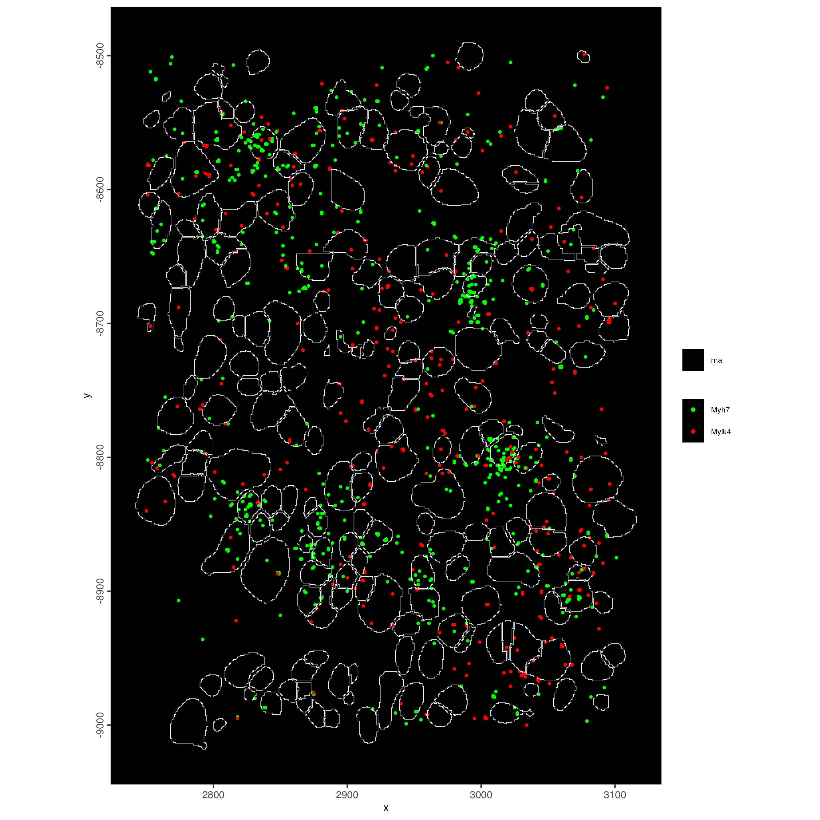 Spatial locations of Myh7 and Mylk4 transcripts in a subset object