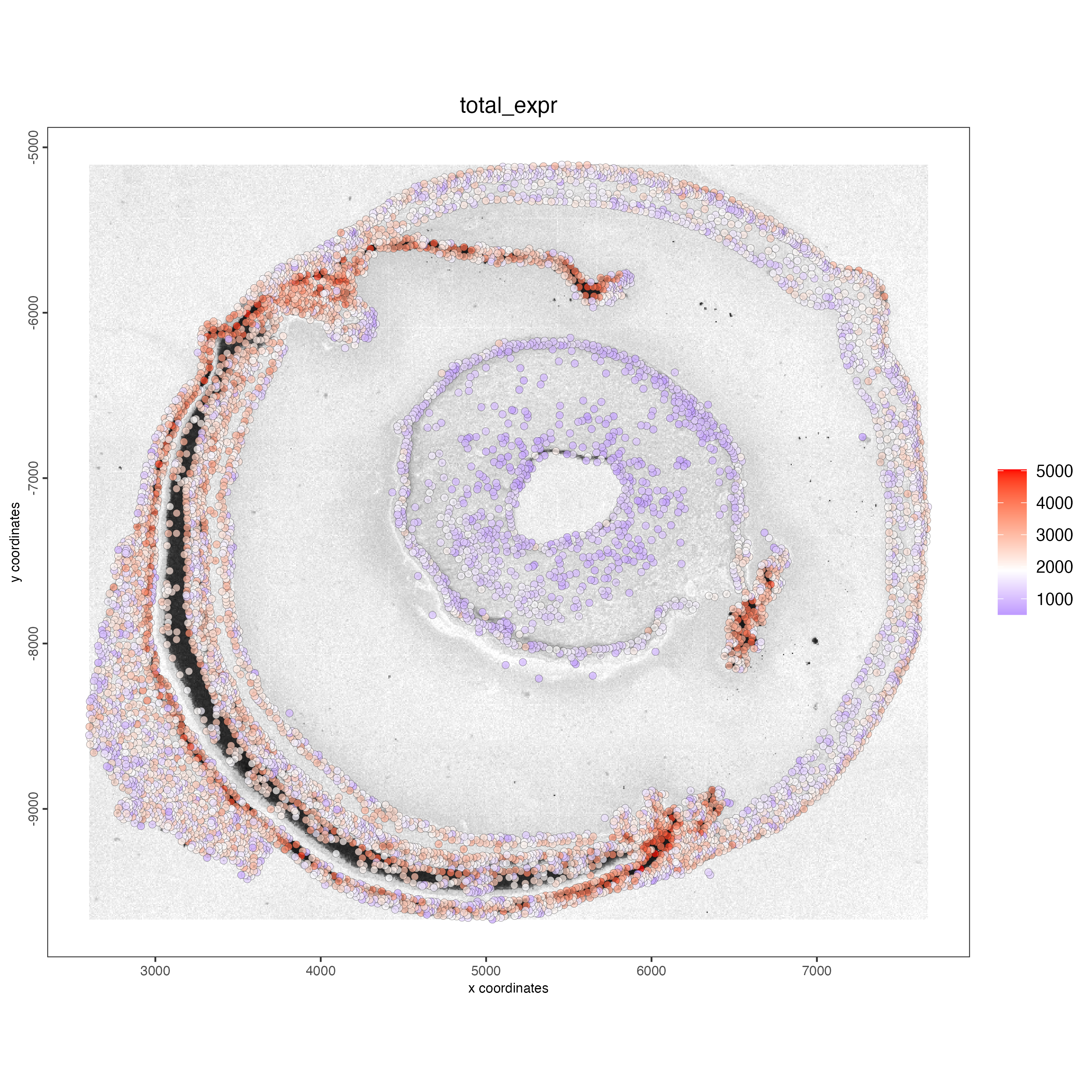 Spatial distribution of the number of transcripts per cell.
